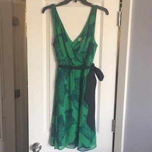 Anthropologie Turtle dress